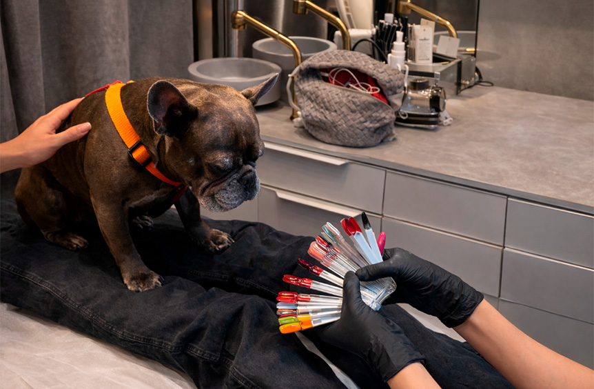 О наших мастерах