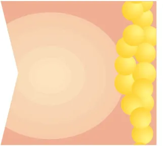 Принцип действия