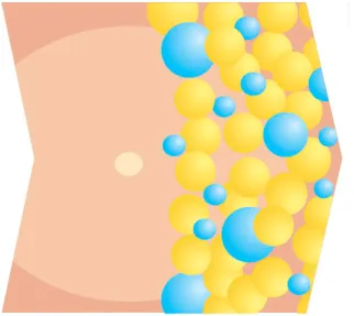 Принцип действия